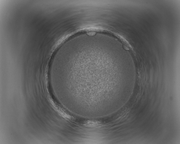 X0000080720487200612221231