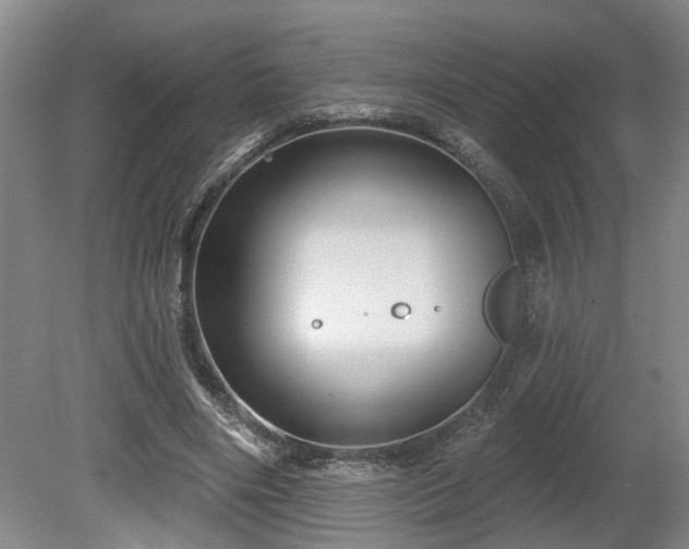 X0000080720490200612221231