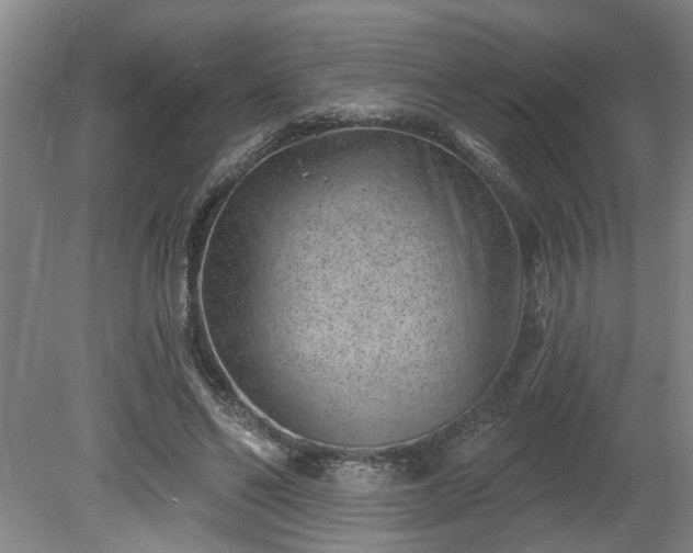 X0000080720494200612221231