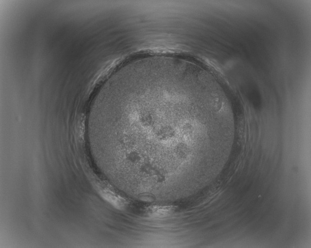 X0000080720495200612221231