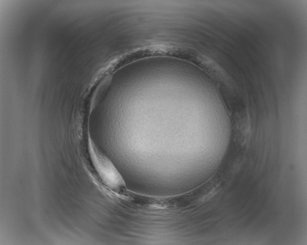 X0000080720496200612221231