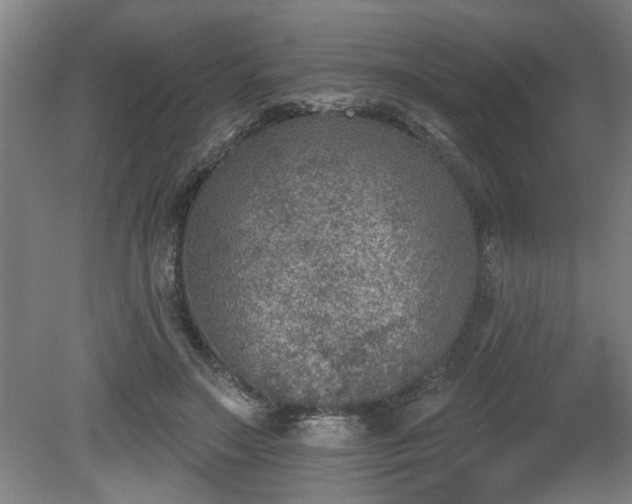 X0000080720499200612221231