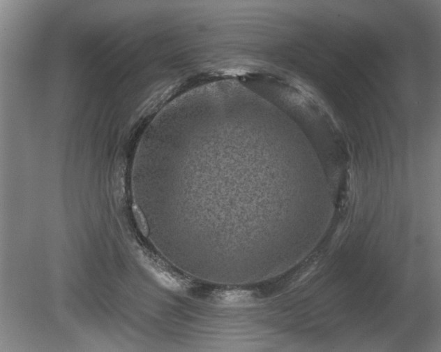 X0000080720501200612221231