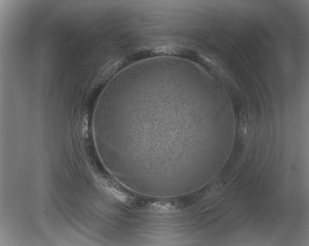 X0000080720502200612221231