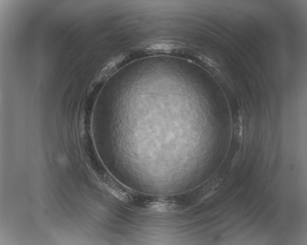 X0000080720504200612221230