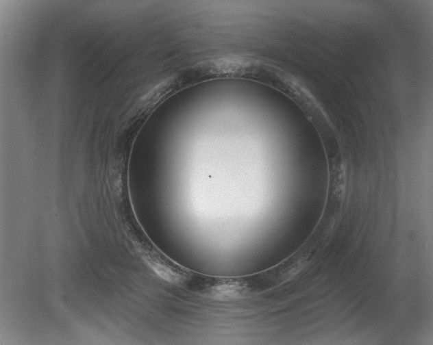 X0000080720505200612221230