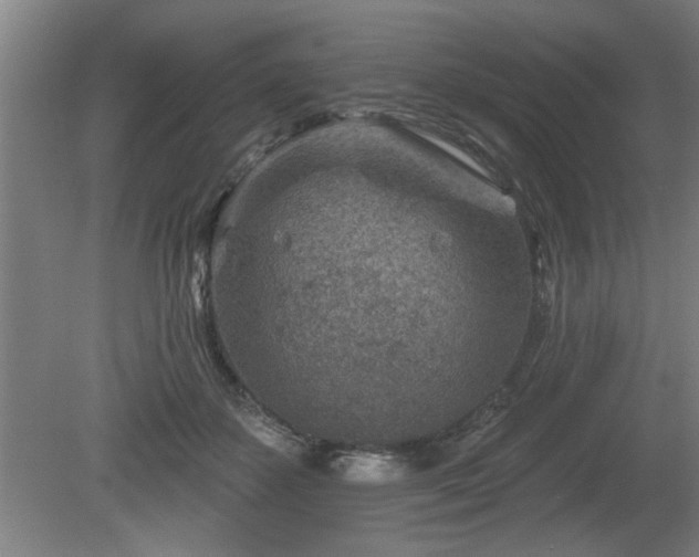 X0000080720507200612221230