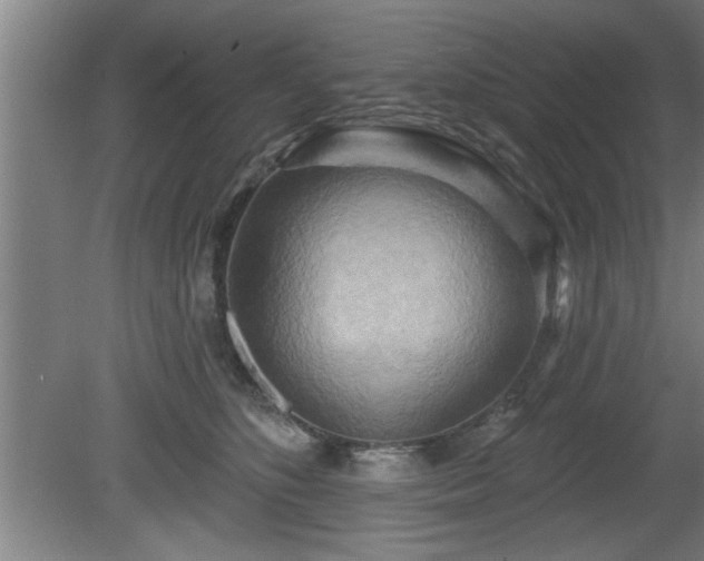 X0000080720516200612221230