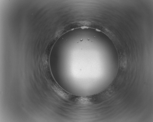 X0000080720518200612221230