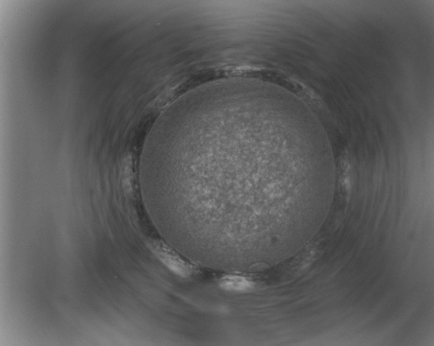 X0000080720519200612221230