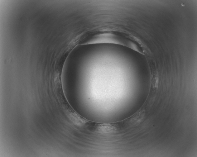 X0000080720521200612221230