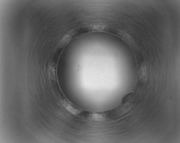 X0000080720522200612221230