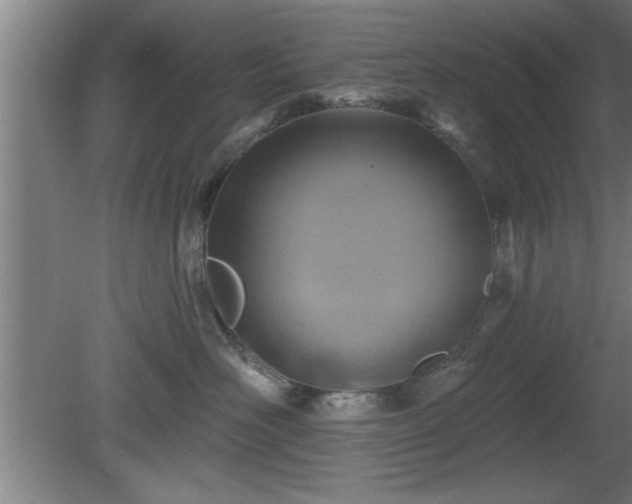 X0000080720526200612221230