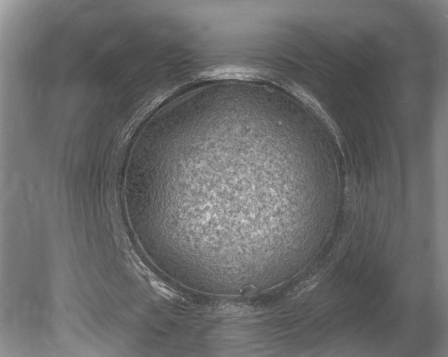 X0000080720529200612221229