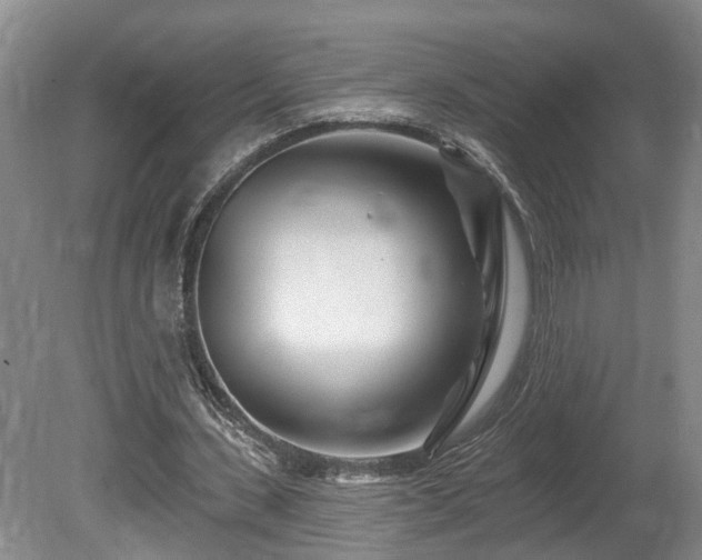 X0000080720531200612221229