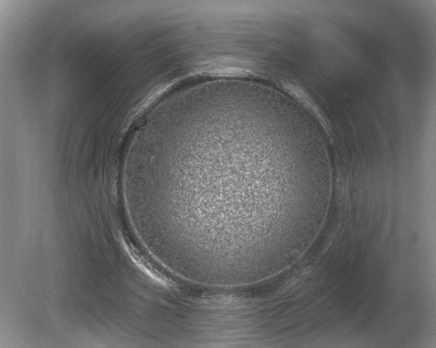 X0000080720533200612221229