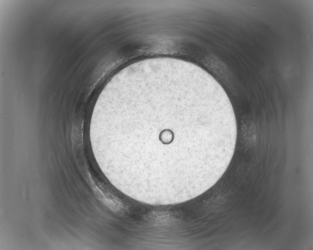 X0000080720534200612221229