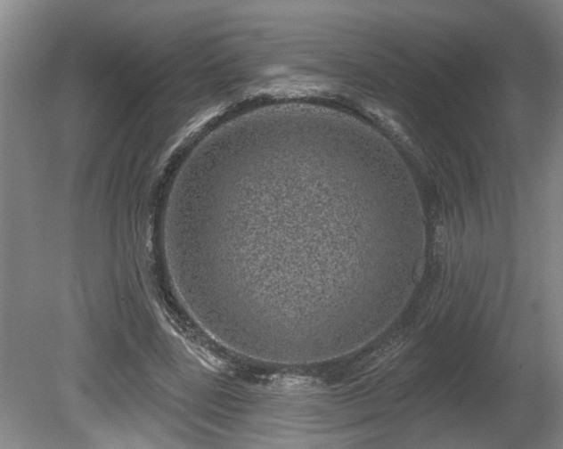 X0000080720539200612221229