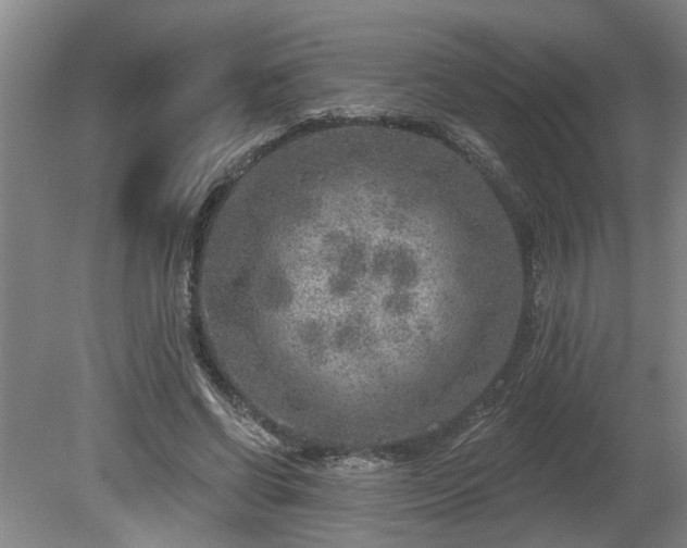 X0000080720542200612221230