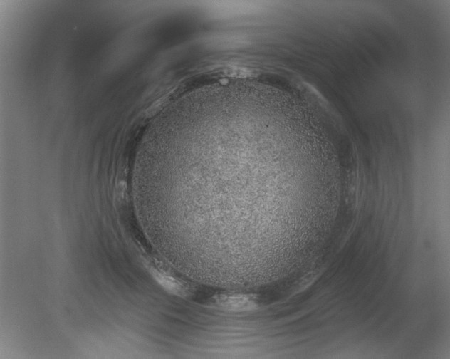 X0000080720553200612221230