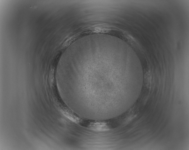 X0000080720554200612221230