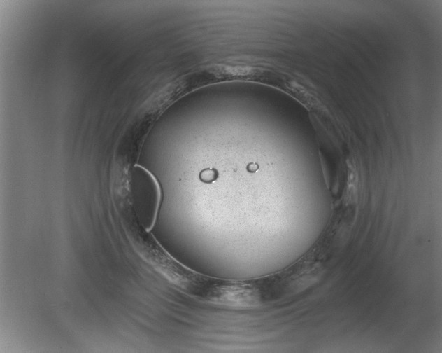 X0000080720555200612221230