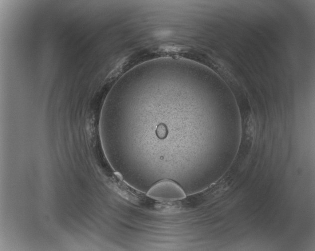 X0000080720559200612221230