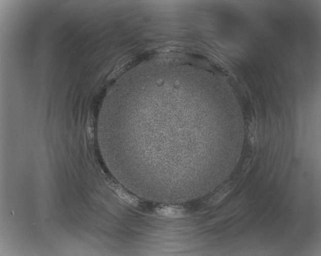 X0000080720561200612221230