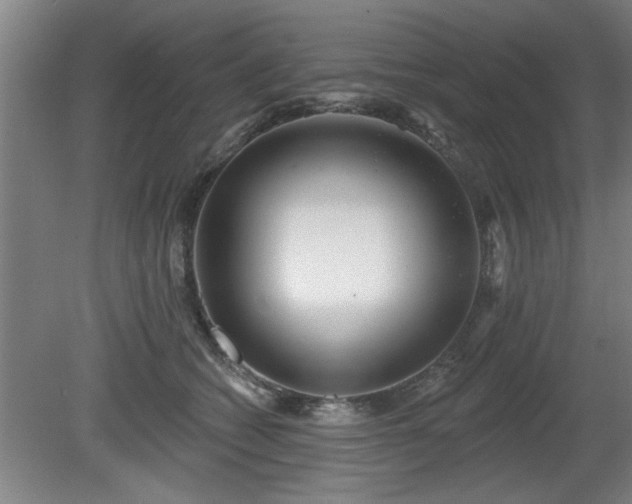 X0000080720562200612221230