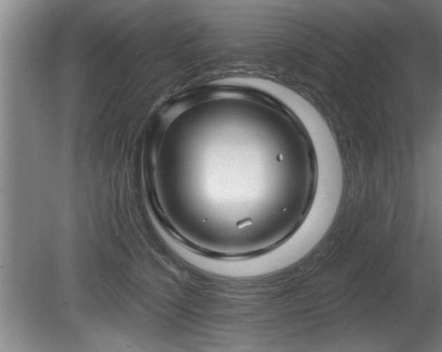 X0000080720564200612221230