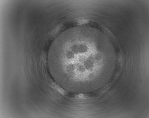 X0000080720565200612221230