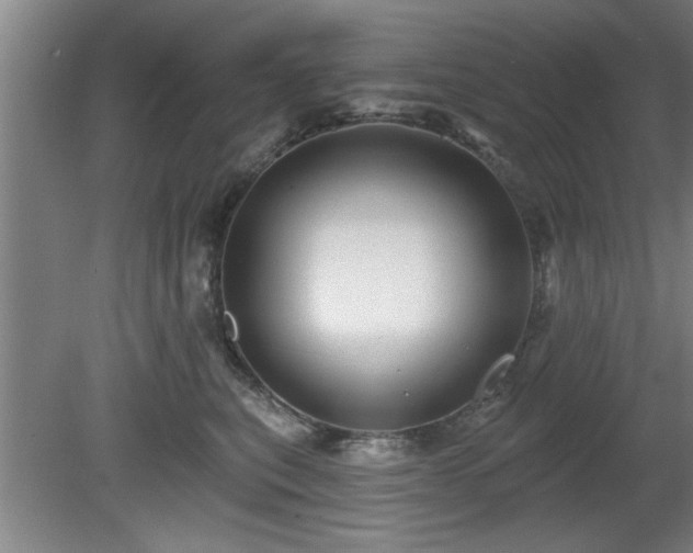 X0000080720567200612221230