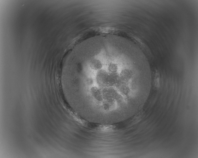 X0000080720569200612221230