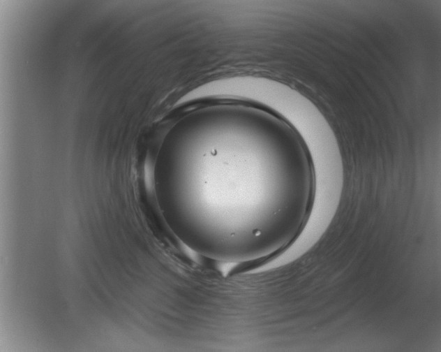 X0000080720572200612221230