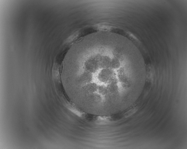 X0000080720573200612221230