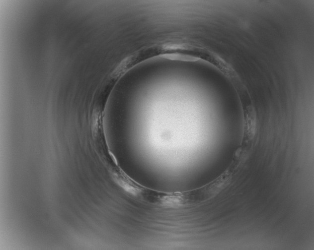 X0000080720574200612221230