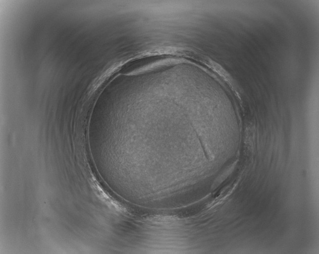 X0000080720577200612221229