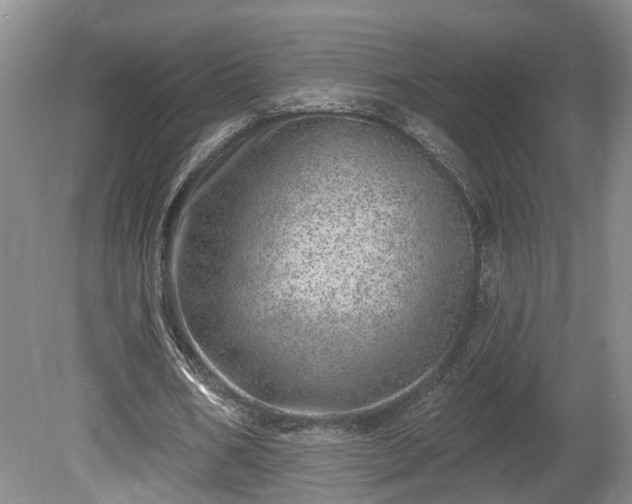 X0000080720578200612221229