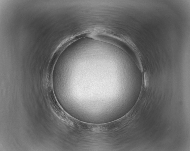 X0000080720579200612221229