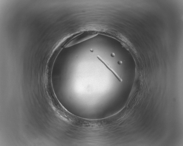 X0000080720580200612221229