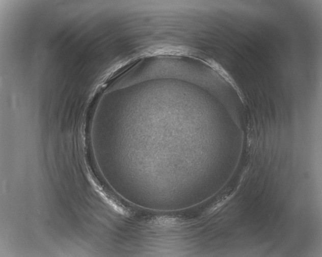 X0000080720581200612221229