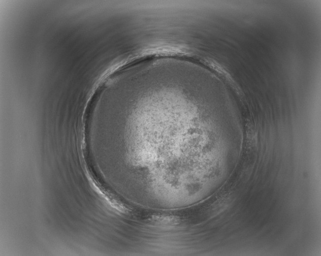 X0000080720582200612221229