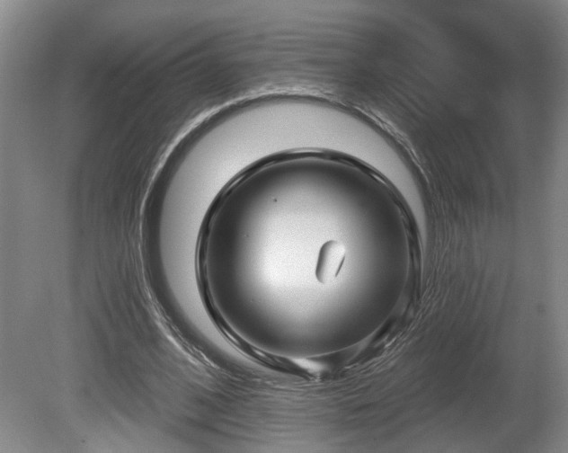 X0000080720584200612221229