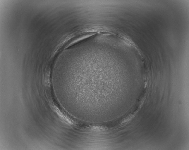 X0000080720585200612221229