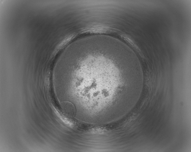 X0000080720586200612221229