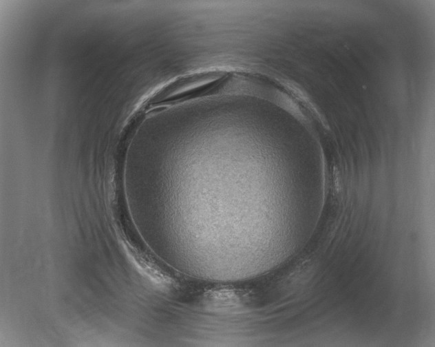 X0000080720588200612221229