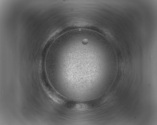 X0000080720591200612221229