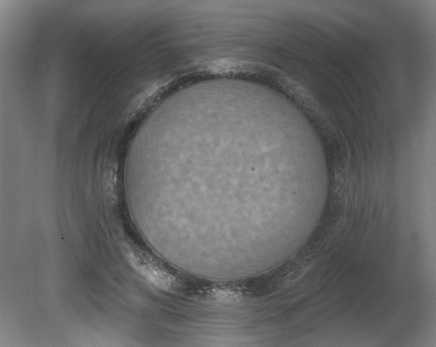 X0000080720592200612221229