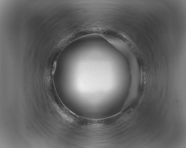 X0000080720593200612221229