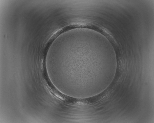 X0000080720596200612221229